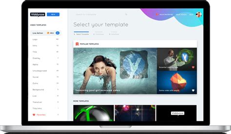 Viddyoze Animation Engine.